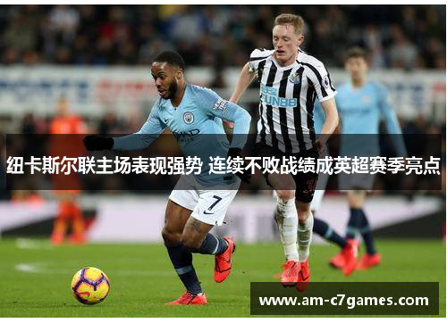 纽卡斯尔联主场表现强势 连续不败战绩成英超赛季亮点
