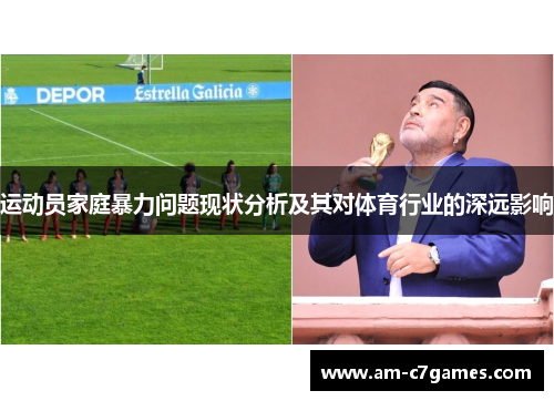 运动员家庭暴力问题现状分析及其对体育行业的深远影响