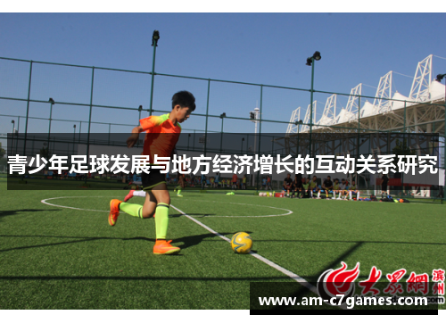 青少年足球发展与地方经济增长的互动关系研究 青少年足球发展与地方经济增长的互动关系研究