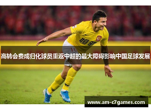 高转会费成归化球员重返中超的最大障碍影响中国足球发展 高转会费成归化球员重返中超的最大障碍影响中国足球发展