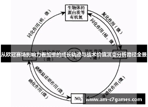 从欧冠赛场影响力看加维的成长轨迹与战术价值演变分析路径全景